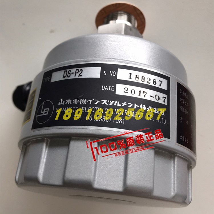 2025 DS-P2/DS-P2F Sonda per im - Woodworking Warehouse recensione e prezzo